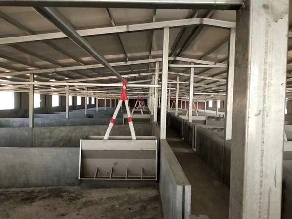 豬自動(dòng)喂料設(shè)備