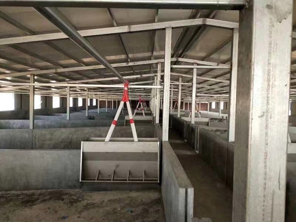 豬自動(dòng)喂料設(shè)備